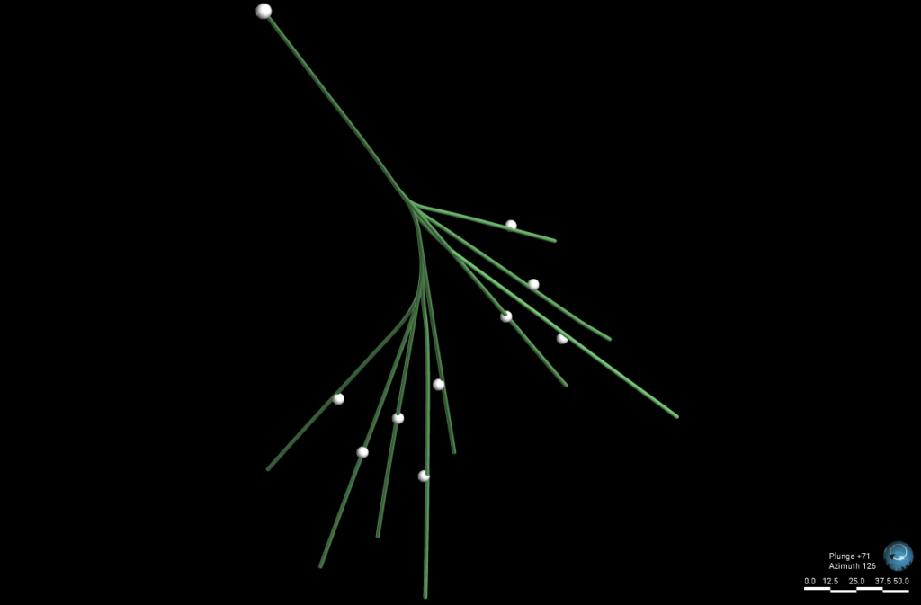 DCD drill hole and branches