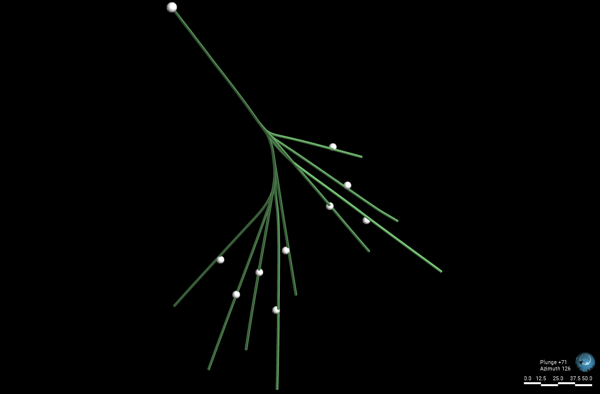 DCD drill hole and branches